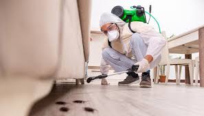 Emergency Pest Control in Crystal Lake, FL